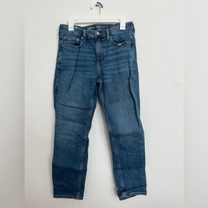 American Eagle Outfitters '90s Straight Blue Denim